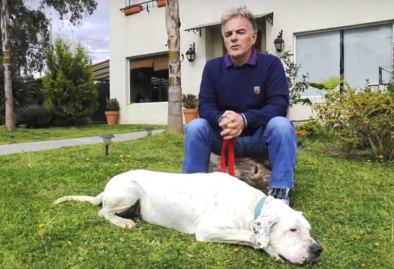 Raza y Mídios presentan “Refugios”