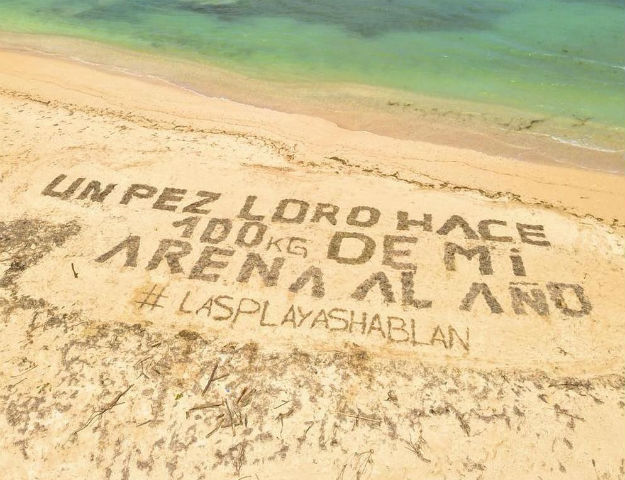 Las playas dominicanas pidieron la preservación del Pez Loro