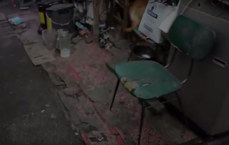 Mirá la campaña de Y&R Prolam para Fundación Vivienda