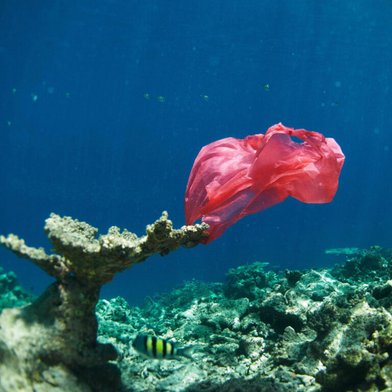 La nueva campaña de Corona: el plástico no pertenece al océano