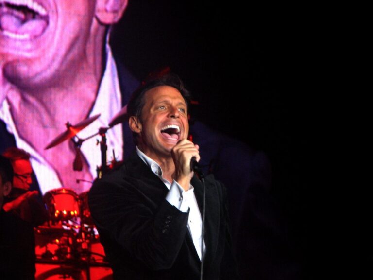 Rapipago auspició el show de Luis Miguel