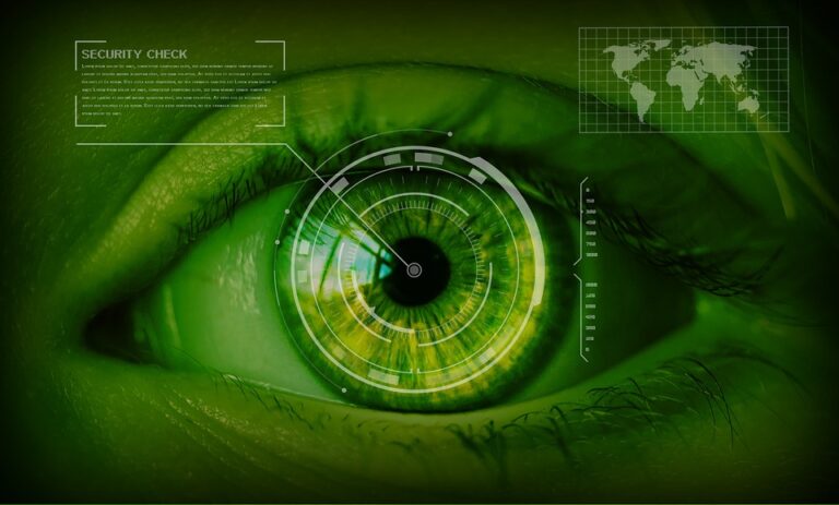 El Playbook de la MMA 2019: El futuro de las tendencias de marketing