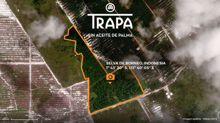 La campaña “¿Una fotografía irrepetible?” de FCB&FiRe recupera una fracción de selva en Indonesia