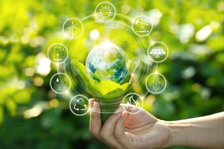 Los argentinos revelan qué necesitan para vivir de manera sustentable