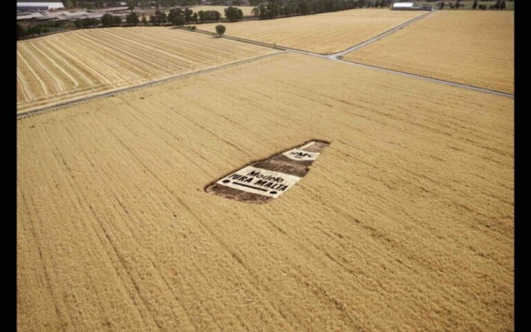 México: aparecen extrañas señales de Cerveza Modelo en medio del campo