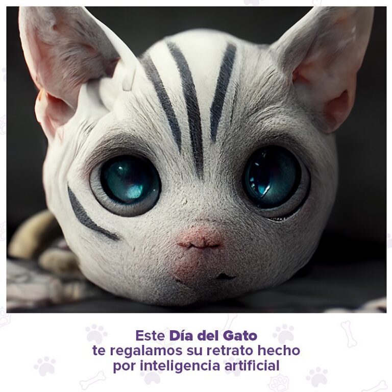 Laika celebra el Día del Gato con una curiosa campaña basada en Inteligencia Artificial