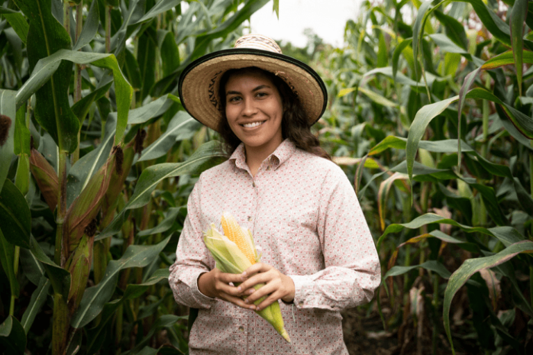 Nativa Sur, la primera cerveza de Bavaria elaborada a base de maíz cultivado en el Valle del Cauca