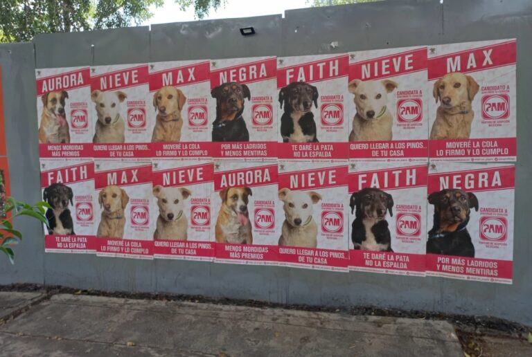 México: Thanks Agency ganó un Effie de Oro junto a un partido con candidatos que cumplen lo que prometen